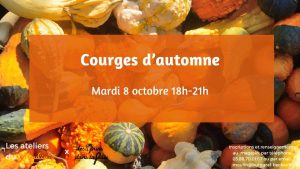 458336105_1059965286132455_2659435646442710984_n