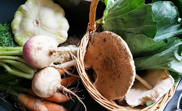 pic_atelier-legumes_H600